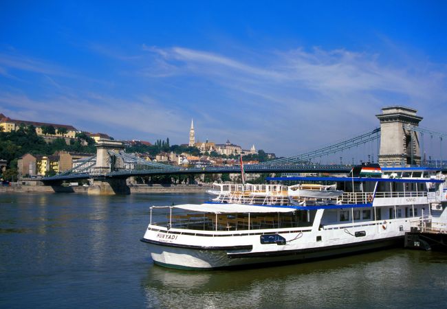 Silvester auf der Donau